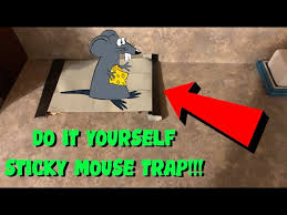 do it yourself sticky mouse trap you