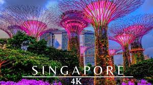 singapore 4k night gardens by the