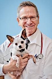 Последние твиты от virginia beach vet (@virginiabeachve). Meet Our Veterinarians Pet Care Veterinary Hospital
