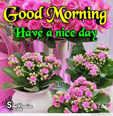 We have thousands of comments and images for facebook, twitter, myspace, pinterest, hi5, tagged, shtyle, tumblr and other social networking sites. Good Morning Flowers Bouquet Smitcreation Com