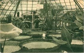 Der botanische garten der universität basel ist ein öffentlicher botanischer garten in basel. Geschichte Botanischer Garten