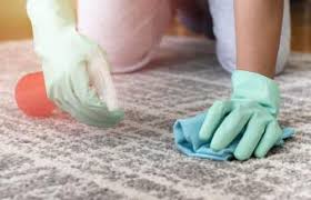 remove slime from clothes carpet