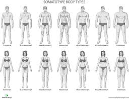 It's easy for us to become fixated on these ideal bodies and do anything in our power to achieve a similar look. Find Your Body Type Mealplanmagic