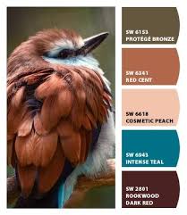 Colorsnap By Sherwin Williams Card By