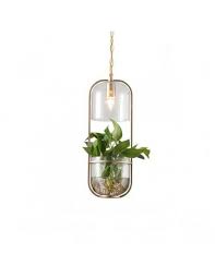 water plants glass pendant light home