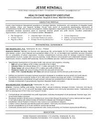 Best Executive Resume Format 2015 Formats Director Marketing Example