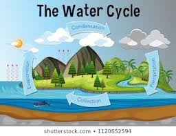 Royalty Free Water Cycle Stock Images Photos Vectors