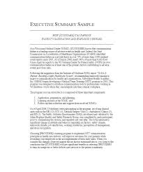 Sample Executive Summary It Example Format For Internship
