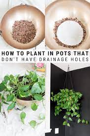 Plant In Pots Without Drainage Holes