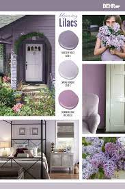 Blooming Lilacs Colorfully Behr