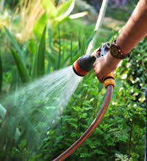 Watering Wisely Growing A Bountiful