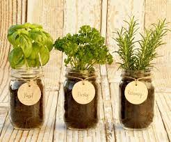 Diy Mason Jar Herb Garden Indoor