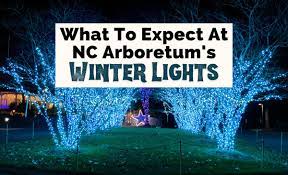 the nc arboretum s winter lights why