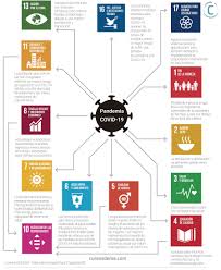 Objetivos de desarrollo del milenio (odm); 37 Ideas De Infografias Sostenibilidad Infografia Gestion