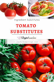 12 best tomato subsutes for 2023
