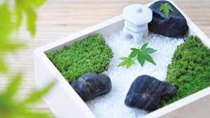 Create Your Own Mini Moss Garden At