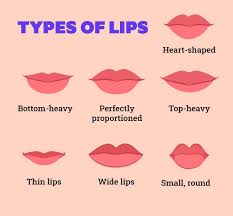 7 diffe types of lips and how to