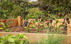 Diy Raised Bed Greenhouse Cover