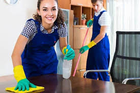 professional cleaners in fargo tlc