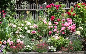 25 English Cottage Garden Ideas