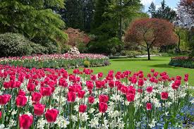 breathtaking butchart gardens and high