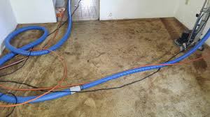 the one carpet upholstery cleaning