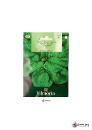spinach seeds in dubai on