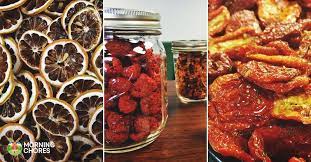 delicious dehydrator recipes