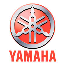 yamaha fz 16 service manual pdf