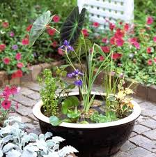 Container Water Garden Midwest Living