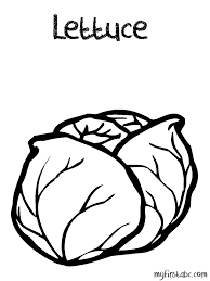 Lettuce coloring page to color, print or download. Pics Of Lettuce Coloring Home