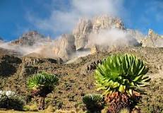 Image result for List Of Tallest Mountains In Kenya