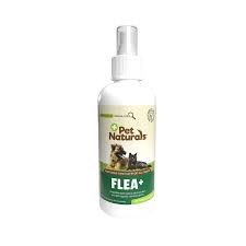 the 5 best flea sprays 2023 review