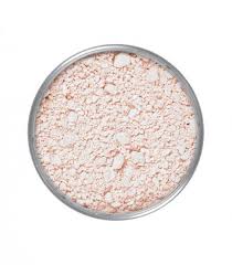 professional makeup translucent powder