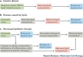 membrane lipid composition