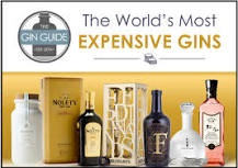 What is the most premium gin?