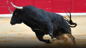 Congreso hundió proyecto de ley que buscaba prohibir las corridas de toros  en Colombia - Diario La Piragua