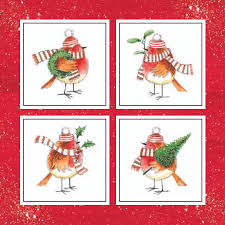 Charity Christmas Cards Robins Pack Of 10