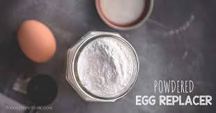 egg replacer powder powdered vegan