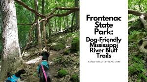 Grandview mobile home park 1003 cottonwood avenue, red wing, mn 55066. Frontenac State Park Dog Friendly Mississippi River Bluff Trails Pawsitively Intrepid