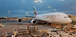 The lower deck consists of 399 seats of the economy class. Airbus A380 800 Picture Of Emirates Tripadvisor