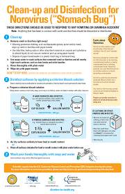 norovirus stomach bug