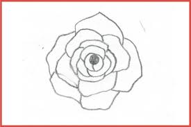 hey kids draw this beautiful rose for