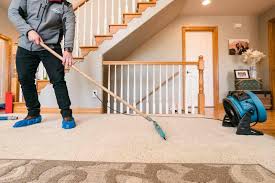 the 1 carpet cleaning in greeley co