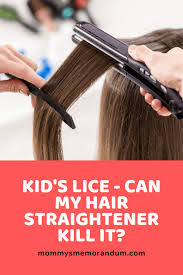 lice can my hair straightener kill