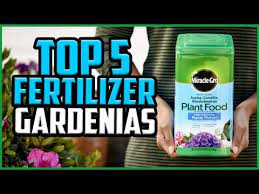 Best Fertilizers For Gardenias Of 2022