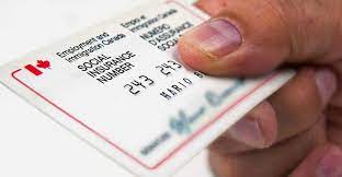 social insurance number sin for newcomers