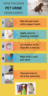 natural pet stain and odor cleaning methods