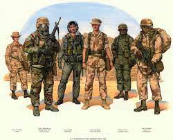 Desert storm egyptian camo anorack. Desert Battle Dress Uniform Military Artwork Marine Uniforms Military History