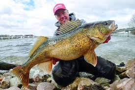 Walleye Rod And Reel Combos That Won T